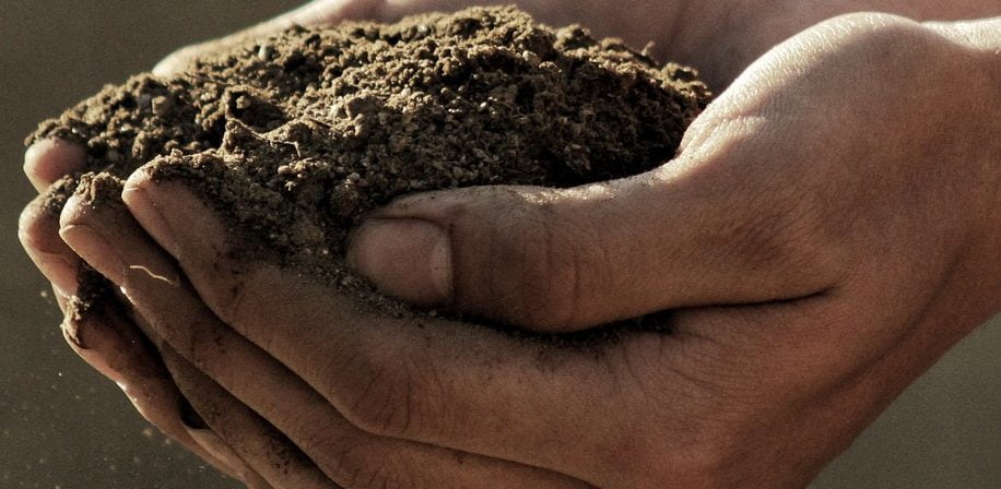 Jord I Hand E1668425962517 916x448