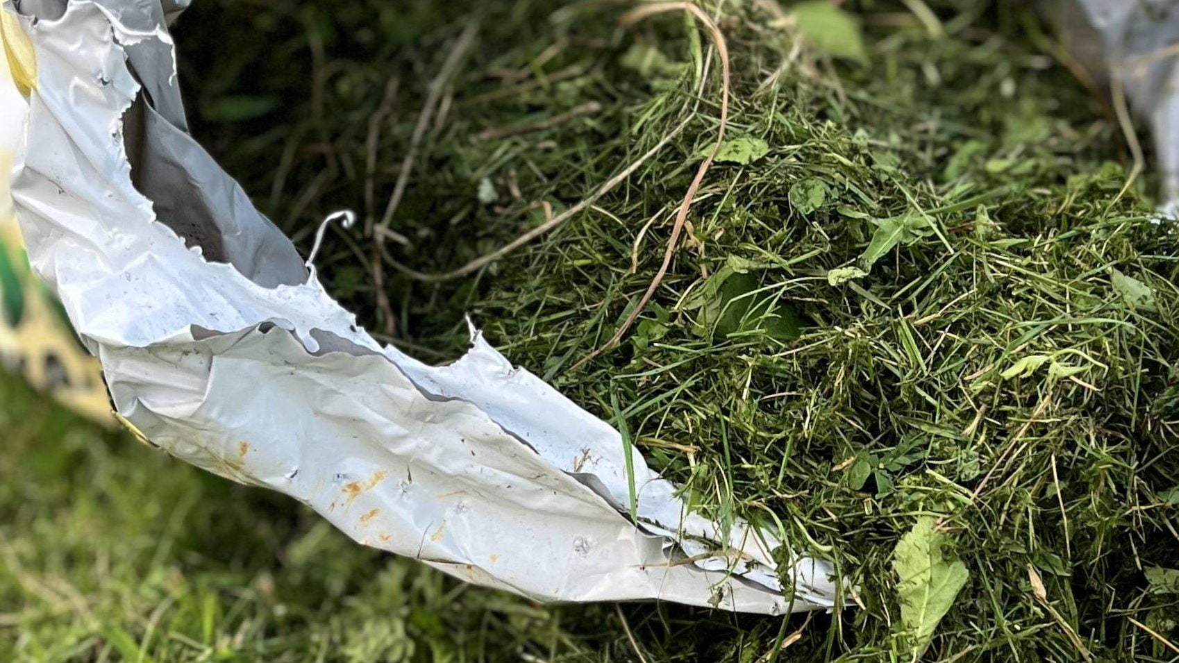 Nurmikkoa Sakissa EMalla Edited 1