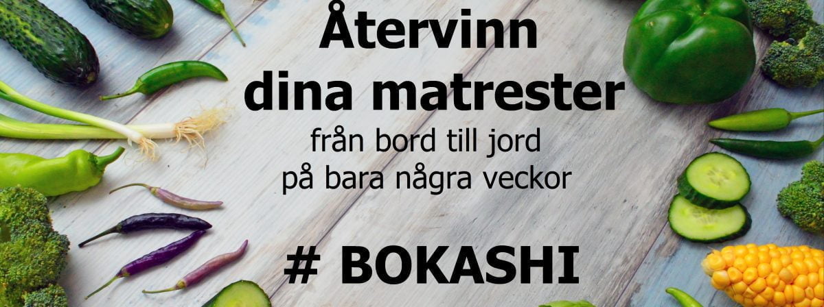 Välkommen till Djungeldoktorn! Atervinn Dina Matrester 1200x448