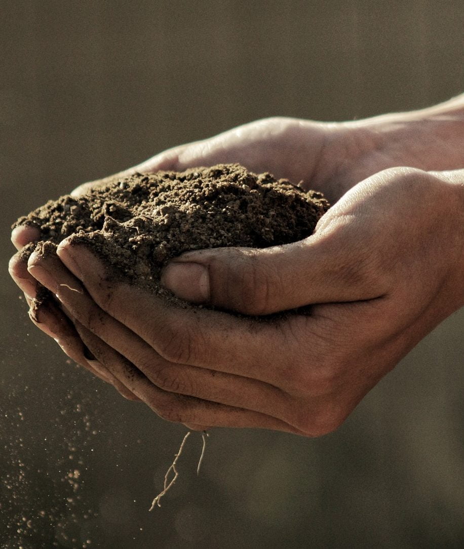 Bokashitohtori vastaa Jord I Hand E1668425962517