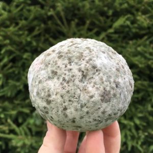 EM-Dangos "Mutapallo" Viidakkotohtorin valmistama