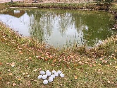 images EM-Dangos "Mutapallo" Viidakkotohtorin valmistama - Image 4