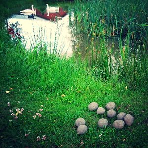 images EM-Dangos "Mutapallo" Viidakkotohtorin valmistama - Image 3