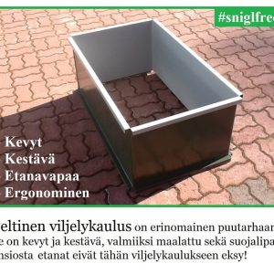 Pulses From Organic Farm