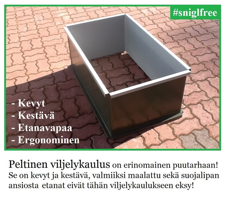 images Pulses From Organic Farm