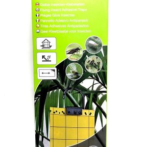 Kelta-ansa. Liimapyydys lentäville hyönteisille.