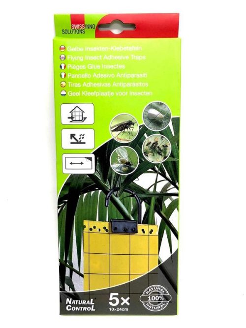 images Kelta-ansa. Liimapyydys lentäville hyönteisille.